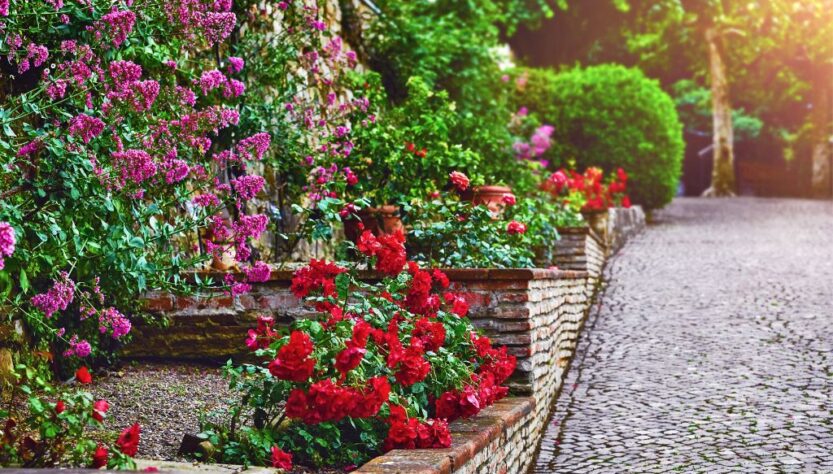 How to Design a Rose Garden