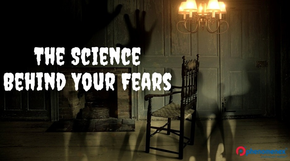 The Science Behind Fear