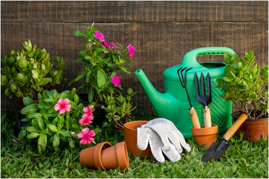 how to start a garden from scratch