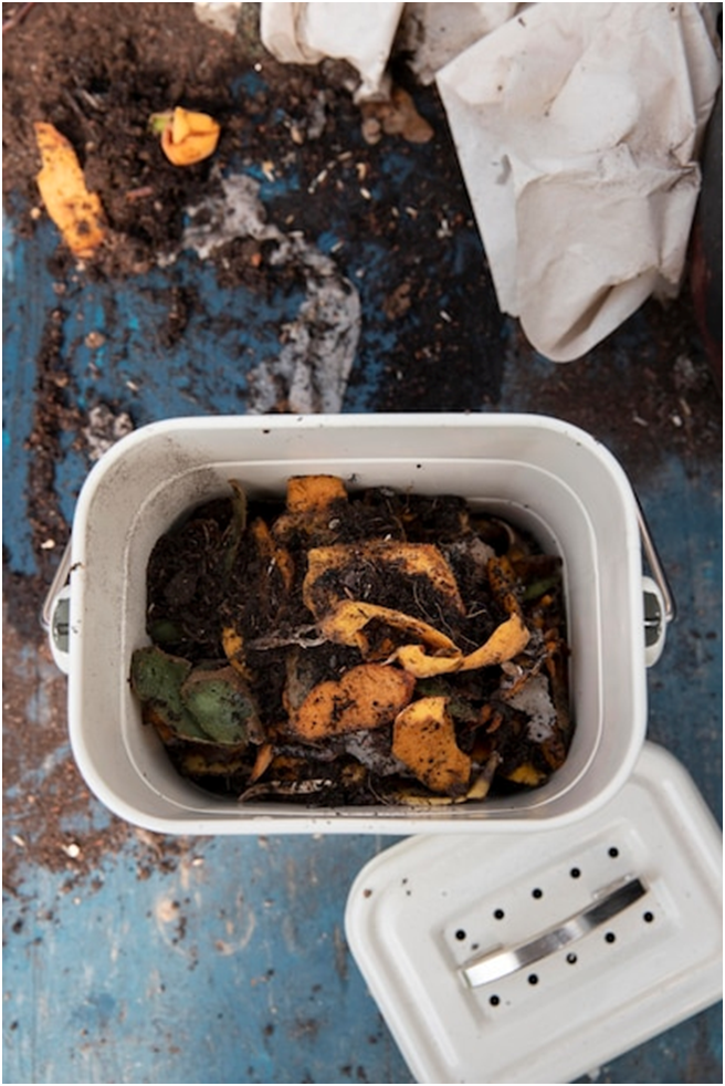 how to compost food waste
